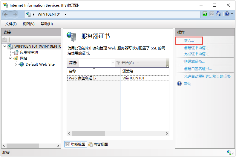 IIS导入SSL证书