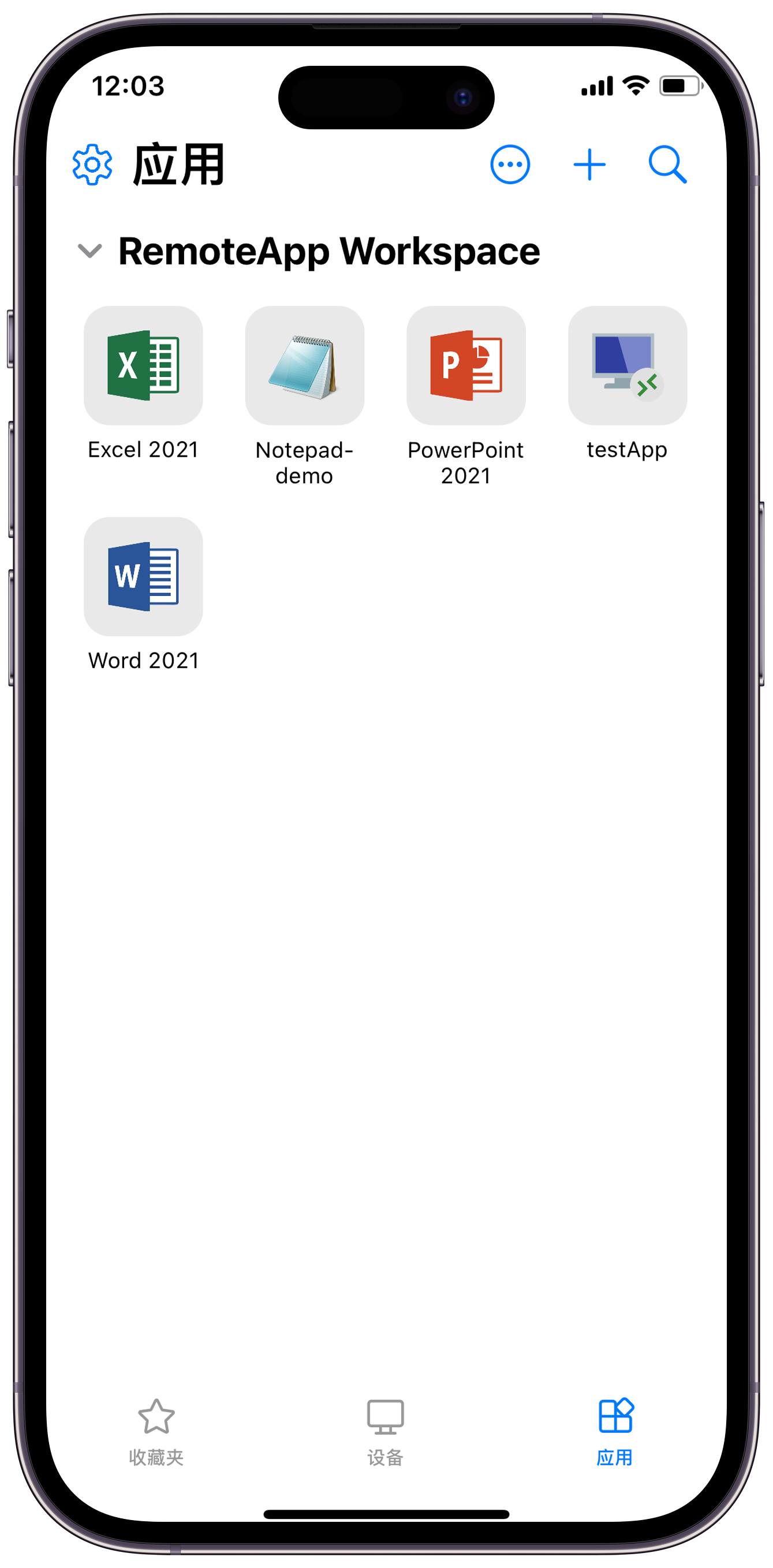 在iOS上运行RemoteApp应用程序